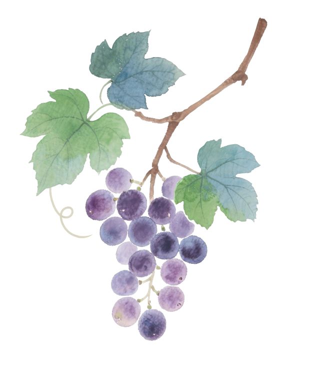 一！天津一夜“过冬”！再发暴雨预警涉及凯发k8国际登录霸榜！天津这里全国第(图1)