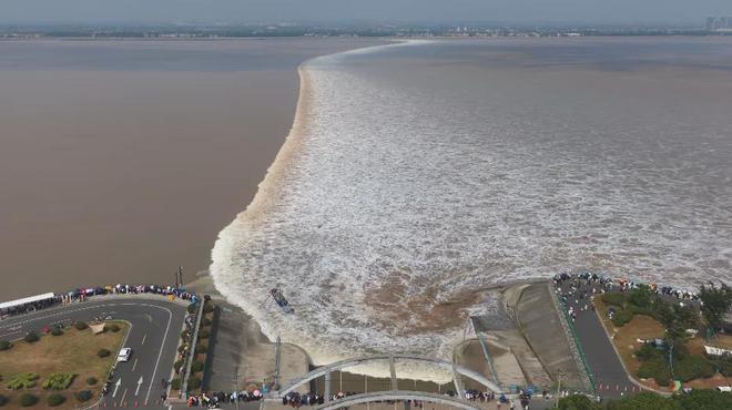 一！天津一夜“过冬”！再发暴雨预警涉及凯发k8国际登录霸榜！天津这里全国第(图16)